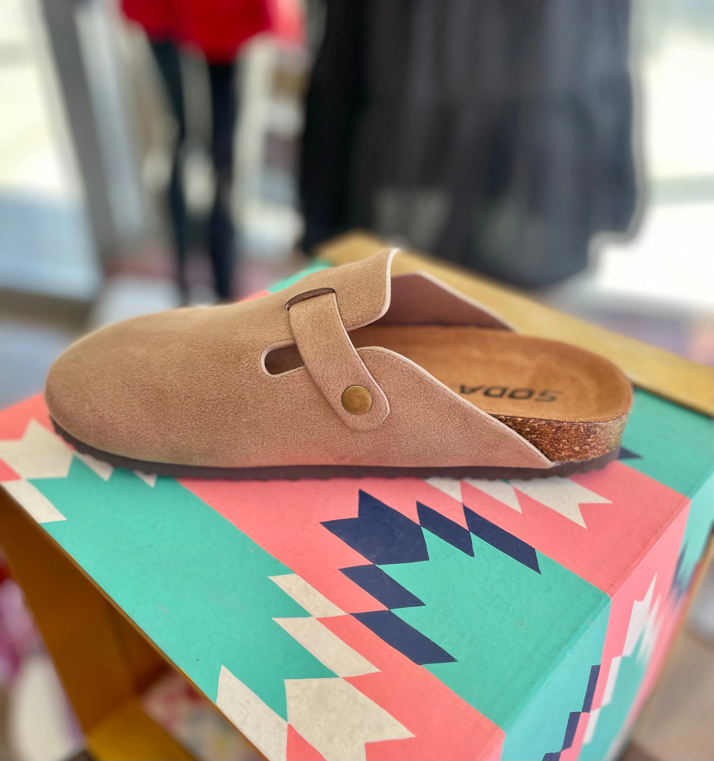 Regis Suede Slip on Clog Mules